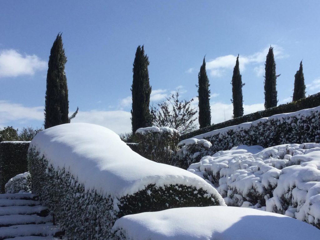 Paolo e Noemia d'Amico - winter