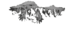 Paolo e Noemia d'Amico - logo
